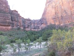 アメリカ西海岸国立公園めぐり８日間の旅３