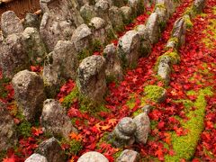 京都　嵯峨野　化野念仏寺　石仏を彩る紅葉～厭離庵