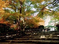 2001紅葉の京都ふらり旅（龍安寺＆仁和寺）