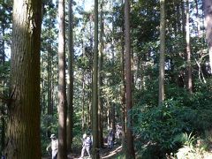 港南台→池の下広場→大丸広場→ビートルズトレイル→氷取沢市民の森→氷取沢神社ハイキング