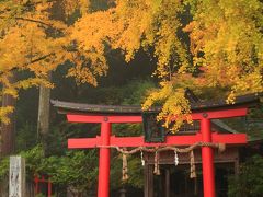 京都　紅葉めぐり～岩戸落葉神社、常照皇寺