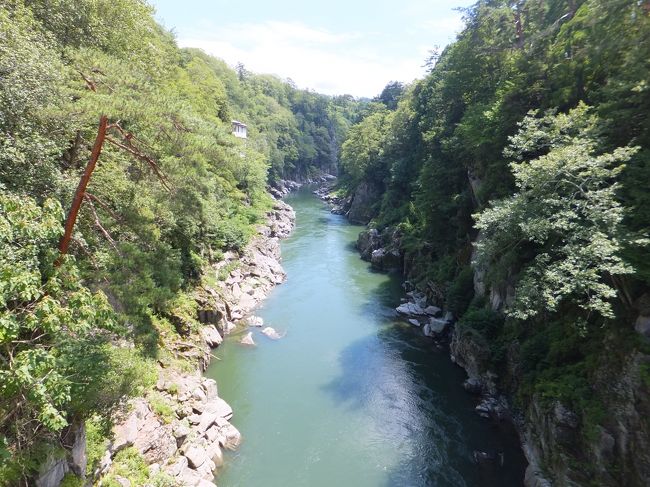 今年の夏は静岡でのアウェイ遠征が２回ありました。ちょうど１８きっぷの季節とバッティングしたので両方とも１８きっぷで向かいました。まず最初は平日のナイター、清水アウェイでの試合です。<br />午後半休を取って鈍行で清水まで。サッカー観戦をしてその翌日は１日夏休みを消化して１８きっぷでキング・オブ・ローカル線の一つ、飯田線に乗りました。<br /><br />飯田線では途中の天竜峡で途中下車。せっかくなので名勝　天竜峡を散策してみました。<br />その後はせっかくなので温泉に入って飯田線を完乗しました。