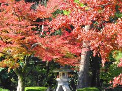 北陸へ：温泉と紅葉