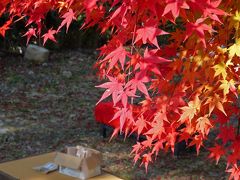 関西の奥座敷☆太閤さんの愛した有馬の湯と紅葉を巡る旅♪