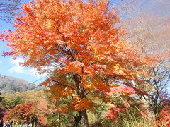 紅葉ミステリー