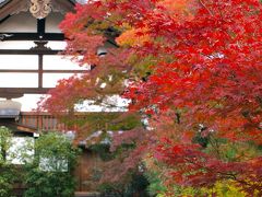 京都の秋　2013 　紅葉を探して・・・5. 嵐山、宝厳院