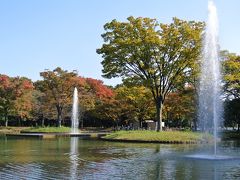 東京散歩『秋の代々木公園・明治神宮』