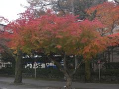 下呂温泉へドライブ（日帰り温泉）