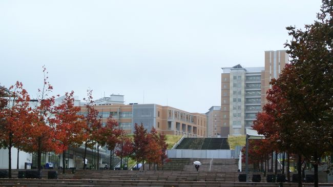 福岡市への所用のついでに、以前から気になっていた所を廻ってきました。三泊四日の旅です。<br />一日目・・・九州大学伊都キャンパス → ①<br />二日目・・・宗像大社辺津宮・中津宮 → ②<br />三日目・・・柳川川下り、水辺の道ウオーキング → ③<br />四日目・・・柳橋連合市場、博多駅、福岡空港 → ④<br /><br />一日目は移転が進んでいる九州大学伊都キャンパス。福岡市の天神から都市高速経由のバスで約40分ちょっとかかりました。<br />工学系地区とセンター地区(1・2年生対象)が移転完了しており、今後理学系・文系・農学系と進み、平成31年完了の計画だそうです。<br />この日は台風の影響で一日中雨が降り続けました。