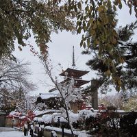弘前で「冬」に巡り合った。
