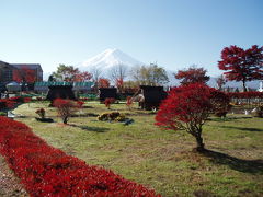 雲一つない晴天。富士山と紅葉を求めて。