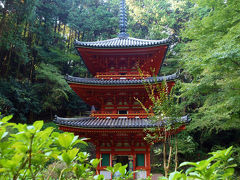 ２０１３　奈良旅ー９　岩船寺　再訪