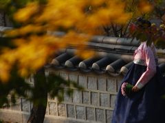 2013年11月　三連休はまたソウル♪紅葉真っ最中のソウルを歩く！＠ウェスティン朝鮮