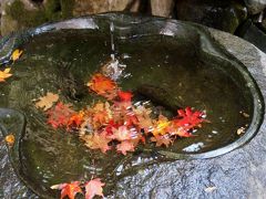 紅葉名所！湖東三山と永源寺