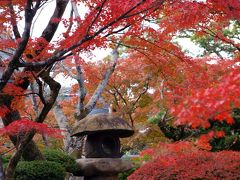 京都の秋　2013 　紅葉を探して・・・9. 松ヶ崎～曼殊院～清水寺