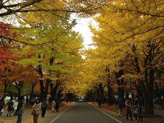 子連れde紅葉の札幌～層雲峡～北見　1泊2日で楽々往復★