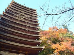 日本★紅葉の秋旅行 2013①（奈良）