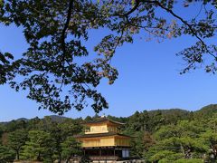 空を飛ぶ鳥のように　野を駈ける風のように 　　その１