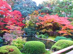 小野小町ゆかりの門跡寺院「随心院と紅葉」