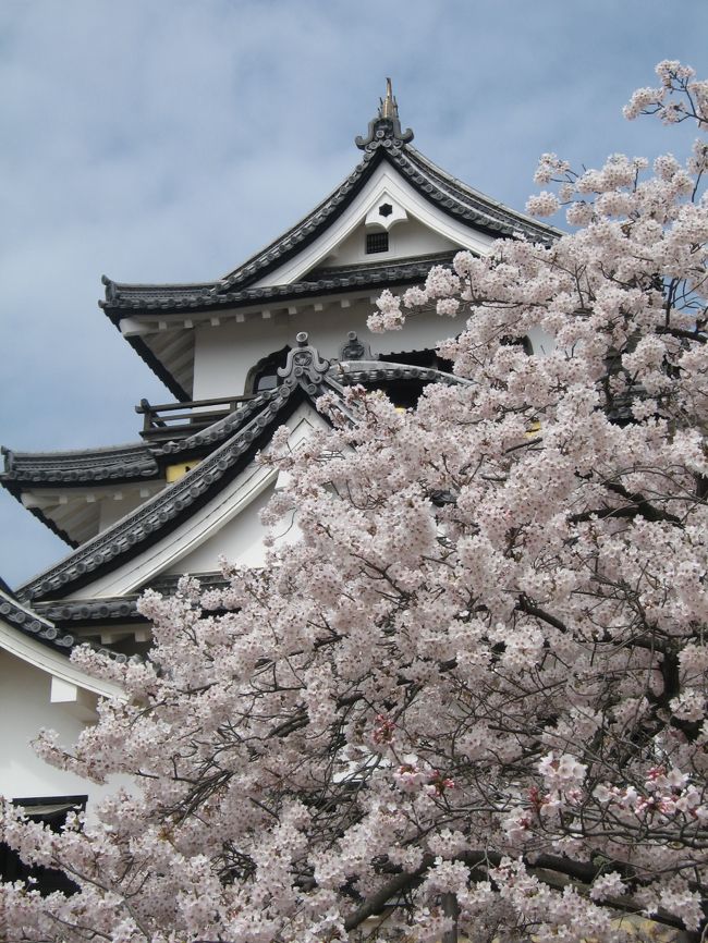 2010年 2度目の桜旅。今回はいつもの旅友と。 前回の旅から2週間後なのに桜満開で心も満開です。