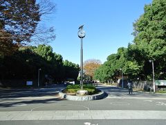 November　代々木公園