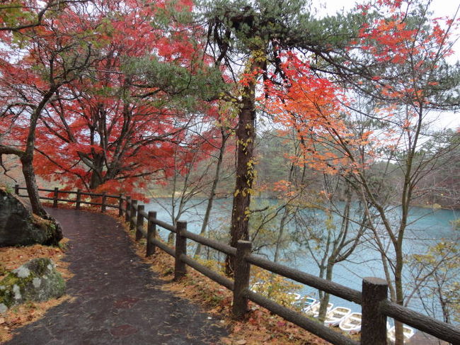 長い間「一度は自分の目でみたい！」と、思っていた「福島県・裏磐梯の五色沼」の色～～♪<br />10月の中旬に予定していましたが、台風の影響で延期。<br />ホテルの空きの都合で、11月上旬になってしまいました。<br />ですから、紅葉も散り始め・・・、ちょっと残念でしたが、それでも「思っていた通りの美しい沼の色」に、満足～～♪<br />のんびり、ゆっくり散策してきました～～♪<br /><br />　http://haru3.blog.ocn.ne.jp/love/　　のブログでも、旅行の様子をUPしてますので、ど～～ぞ。