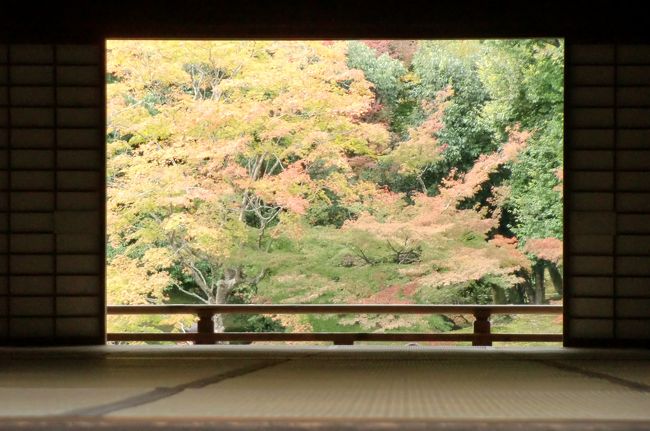京都の旅は10年を超えましたが、年2回になって3年になります。<br />5月の新緑と11月の紅葉前の『特別公開』が目的です。<br />私の旅はゆっくりが目的の長期間滞在型なのですが、いつもゆっくり出来ず、悲しいかな頑張ってしまいます。<br />京都は美味しいものもたくさんあって、馴染みのお店はもちろん、新しいお店も見つけたくって、ちょっと精を出したりします。<br />初公開の神社仏閣には感謝の念でいっぱい、嬉しくてたまりません。<br />そんな私のパワー全開あり、のんびりしすぎもありの、一人旅お付き合いいただければ、幸いです。<br /><br />写真は天龍寺方丈から庭園を望む。<br /><br />文中、○は「秋の特別公開・特別展」<br />　　　◎は「京都非公開文化財特別公開」
