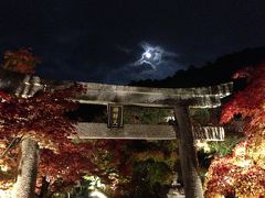 つれづれなるままに夜桜を