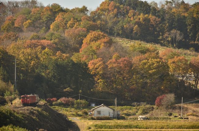 烏山線沿線に広がる、のどかな紅葉の風景を探しに訪れました。