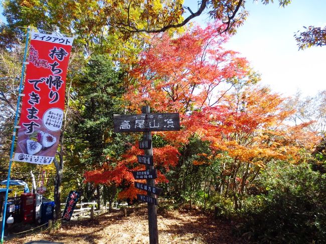ミシュランガイドで最高ランクの“三つ星”の観光地に選出され･･･<br />１年を通じて、多くの観光客に人気のある東京の「高尾山」<br /><br />都心からのアクセスも良く、貴重な自然も沢山残されていて･･･<br />標高は599ｍ程だけど、様々な登山コースがあり、周辺の山と縦走も<br />出来るので･･･登る人の実力によってコースを選べるのも魅力の１つ。<br /><br />山腹までケーブルカーやリフトが完備されているので、子供や<br />お年寄り･登山経験が無い人も手軽に山登りを楽しむ事も出来るし･･･<br />中にはヒールで登る女性もいるらしい。･･･さすがに山道なんでそれは<br />辞めた方が良いと思うけど、そのくらい手軽な山だと言う事。<br /><br />我が家からも遠くは無いし･･･今まで友人から何度も誘われたんだけど<br />膝が悪い私は頑なに高尾山に行く事を拒否。なぜなら･･･<br /><br />私にとってケーブルカーで登る高尾山＝富士山だから。(苦笑)<br /><br />･･･そう断言して友人に笑われる。でも･･･そんな私がとうとう<br />高尾山に登る決心をする日がやって来た。<br /><br />可愛い御朱印帳にこだわりを持つ私が次に目をつけたのは･･･<br />高尾山にある「薬王院」の季節の御朱印帳。今の御朱印帳も<br />まだ半分ページが残っているけれど、そろそろ次を用意したい。<br /><br />それに･･･旧日光街道歩きが終わり、ウォーキングも続けようと<br />思っても、いつかはやってくる「峠越え」今の私で歩けるのかな？<br /><br />御朱印帳・歩く練習・自分の実力と向き合う･･･な〜んて壮大な<br />決意をして今回高尾山に挑んで来ました！　<br /><br />せっかく行くなら紅葉が綺麗な時が良い・自分のペースでのんびり<br />行きたいから１人で良い・薬王院だけで･･･頂上はパスする？<br /><br />いやいや登ろう！　頂上から富士山を見て来よう！<br />頂上に無事に登れたら･･･温泉入って帰って来るんだ〜！<br /><br />紅葉がそろそろ見頃を迎えると言う秋の朝。高尾山に<br />登って来ました！秋の高尾山の様子を２部に分けてお届けします♪ 