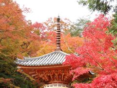 大阪　岸和田　牛滝山　大威徳寺の紅葉を訪ねて