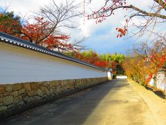 勧修寺と紅葉