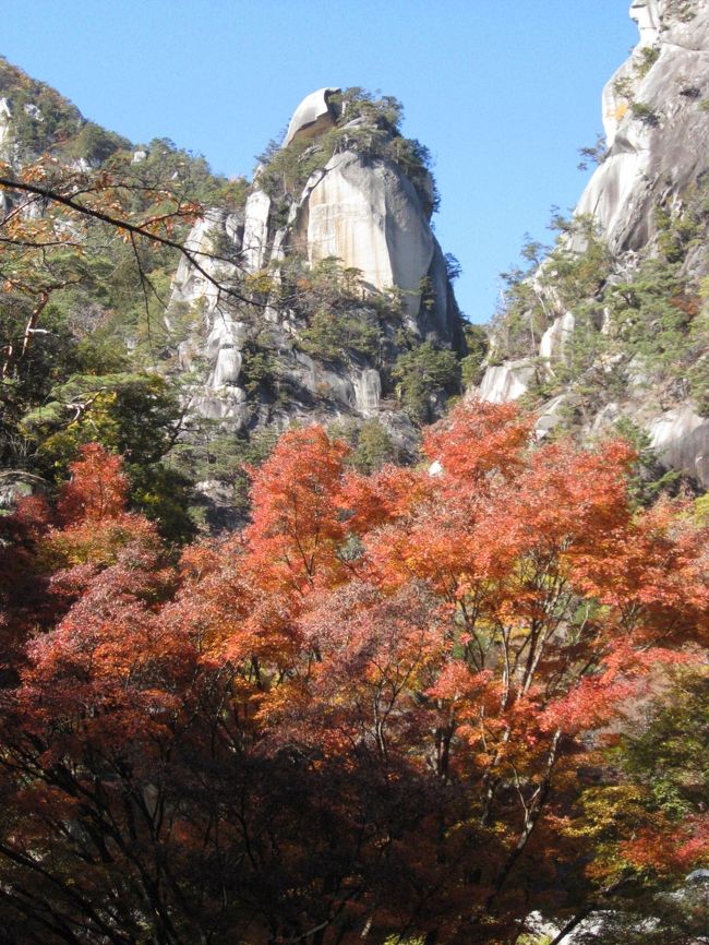 ２０１３年１１月１９日（火）、９：４５甲府駅南口発昇仙峡行きのバスに乗るため、６：４５に目覚ましをかけたが、その前に目が覚めてしまった。<br />昨晩は、夕食を食べた後、満腹で温泉に入れなかった。大岩風呂は女湯になっていたので、大庭園風呂を覗きに行ったが、中には入らなかった。<br />６時半頃に、男湯に変わった岩風呂に行ったら、おじさん方が一杯。こんなに早いのに・・だったが、バイキング会場も７時半前に行ったら、あまり空き席がない感じだったのが波が引くように空いたので、早出の団体客が沢山いたのでしょう。<br />料理の種類が多かった。ちょっとずついろいろ取ったが、どれも味が良かった。食後のコーヒーはパス。それほどユックリはできない。<br /><br />土産物コーナーの脇に、石やガラスの加工品（ネックレスやペンダントなど）を売る店が出ていて、家内が覗いていたので、先に部屋へ。<br />９時発の送迎バスに乗れば９：１３石和温泉駅発の下り電車に乗れるので、ちょっと部屋でゆっくり。<br />甲府駅でキャリーバッグをコインロッカーに入れ、昇仙峡行のバス乗り場へ。２０分位前だったのに、もう１０名弱が並んでいた。平日だが、本数が少ないので早くから並ぶようだ。我々の後ろにかなり長い列ができていた。<br /><br />定刻５,６分過ぎにバスが到着。我々は列の前の方にいたので座れたが、座席が少ないオンボロバスでぎゅう詰めの状態だった。終点まで４，５０分かかり、途中で下車する人はないのに、街中を停留所をアナウンスしながら走った。普通なら人数を見て増発するのに。市内を走る普通のバスと同じ扱い。タクシーの運転手が競争がないからと言っていたが。<br />街中を抜けると、やっと昇仙峡の説明を始めた。直ぐに、昇仙峡口に着き、そこで下車したが、土産物屋が２,３軒あるだけ。観光地としての設備など全くと言って良いほどない。山梨県も、甲府市も観光客の受け入れ態勢は０。山梨交通のバスも酷いが。平日にも関わらず、観光客は少なくないのに。<br /><br />長潭橋付近は紅葉が散りかけていた。舗装された渓谷道路に入って歩き出した。日が差さないので結構寒い。入口の標識はバス・トラック通行禁止だったから、車が来るのだと思っていた。車の通行禁止は土・休日だけ。<br />人が結構歩いていて、狭い場所はかなり狭いのに、車が入ってくる。さすがにスピードは出してなかったが。平行してグリーンラインという自動車道路があるのだから、車の通行禁止にすれば良いと思うのだが。こんなところ車で通っても渓流が見える訳でもないし。ちょっと広くなったところに停車して、下りて写真を撮っているようなのもいたけど・・。<br />ともかく歩いていると後ろから車が来るので落ち着いて景色をみていられない。<br /><br />渓流の中の大石や対岸の岩壁の形に、いろいろな名前を付けている。あれがそうかね、そう言われればそうも見えると言ったところ。まあ、渓流は綺麗で、紅葉も多少盛りを過ぎたかなといった感じもあったが、充分綺麗だった。先人がものすごい努力をして渓流沿いの道を作ったというのに、現在の行政はそれを充分利用しようという気持ちはないようだ。何にもしなくても客は十二分に来るということか。このような渓谷で一般人が普通に来ることができる所はあまりないと思う。逆に、山の会などはこんな所は歩かない。<br /><br />家内が足が痛くなってきたというので、店があったらお茶をと言っていたが、水晶などの土産物屋が多い。食べ物屋があったので、１２時にはなってなかったが、昼食にした。蕎麦が美味しかった。イワナの塩焼きも。<br /><br />写真で見慣れた覚円峰がやはり見栄えありだった。仙娥滝まで２０分弱とか言われて店を出ると、下りてくる人が多くなった。滝上バス停などで車を降りた人たちが下ってきているようだった。<br /><br />もみじ回廊は赤が綺麗だったが、あれは人工的に植えたのでしょう。石門をくぐり橋を渡っていくと、仙娥滝。落差はそうないが、水量が多いので迫力があった。<br /><br />石の階段を登って行くと、平坦地になり、店が沢山並んでいた。滝上のバス停への橋を過ぎて、ちょっと行くとロープウェイ乗り場。かなりの人が並んでいたが、全員乗せてしまった。<br /><br />ロープウェイ山頂駅からは金峰山が良く見えた。階段を登って広場に出ると、周りは山々々。朝方雲の中だった富士山もクッキリ。南アルプスも良く見えた。偽八ツの山や富士五湖近くの山も。<br /><br />１４：１０発の下りロープウェイで降り、影絵の森美術館の前にある滝上バス停で甲府行きのバスの列に並んでいると、タクシーの運転手さんが客呼びをしてきた。<br />４人乗ると、一人千円だというので、もう１組の夫婦と一緒にタクシーに乗った。３０分ちょっとで甲府駅着。１５：２７甲府始発の特急かいじにゆっくり座れた。<br />表紙の写真をどれにするか悩みましたが、やはりこれにするか・・だった。