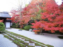 秋の京都へ・天授庵、無鄰菴編