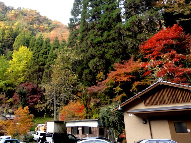 　仕事に追われる毎日ですが、大分に出張した際に、急に紅葉が見たくなり「深耶馬渓」に立ち寄りました。この深耶馬渓ですが、学生時代に友人を連れだって、オンボロの軽自動車で訪問した思い出の地です。時代こそ変わりましたが、相変わらず美しい紅葉には感動しっぱなしでした。