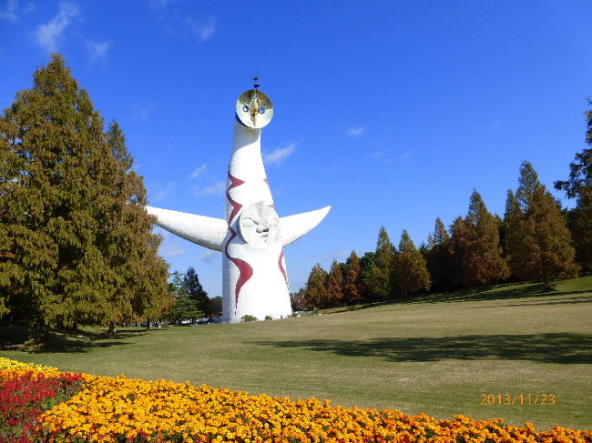 今年はなぜか紅葉にこだわる。この前塩江温泉で期待外れだったからだろうか。寒さが増して今ごろはちょうど関西の紅葉が真っ盛りだという。近場で見事な紅葉を見納めにしようかと、好天に誘われてまた出向く。<br />万博公園あなどるなかれ。こんなにたくさんの紅葉があったとは。アメリカフウ、カエデ、ドウダンツツジ、イチョウなど、そこかしこで鮮やかな色を放っている。紅葉１００選に入っていないのが不思議なくらい。<br />サザンカもツバキもバラも負けじと咲いている。季節はずれのヒマワリやスミレもコスモスも可憐に花を残して、まるで万博公園は大植物園の様相を呈していたのだった。