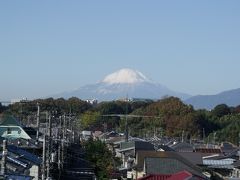 東海道を歩く(保土ヶ谷−茅ヶ崎）