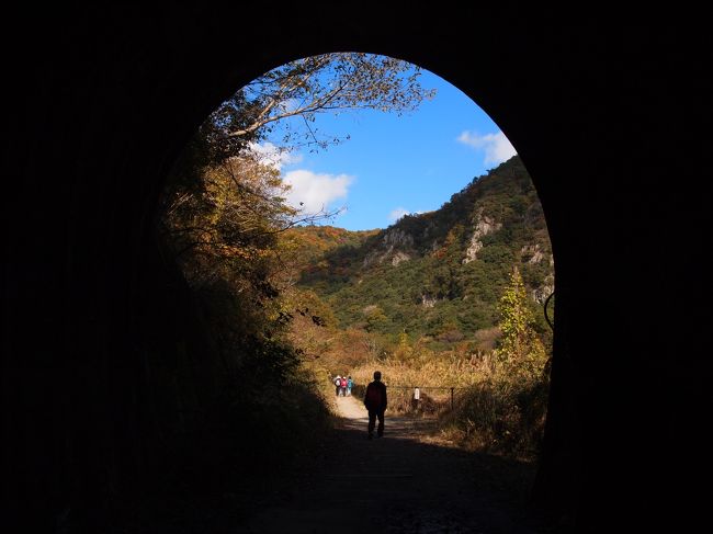 ドキドキトンネル探検そして燃える秋を満喫♪　武庫川廃線跡ハイク
