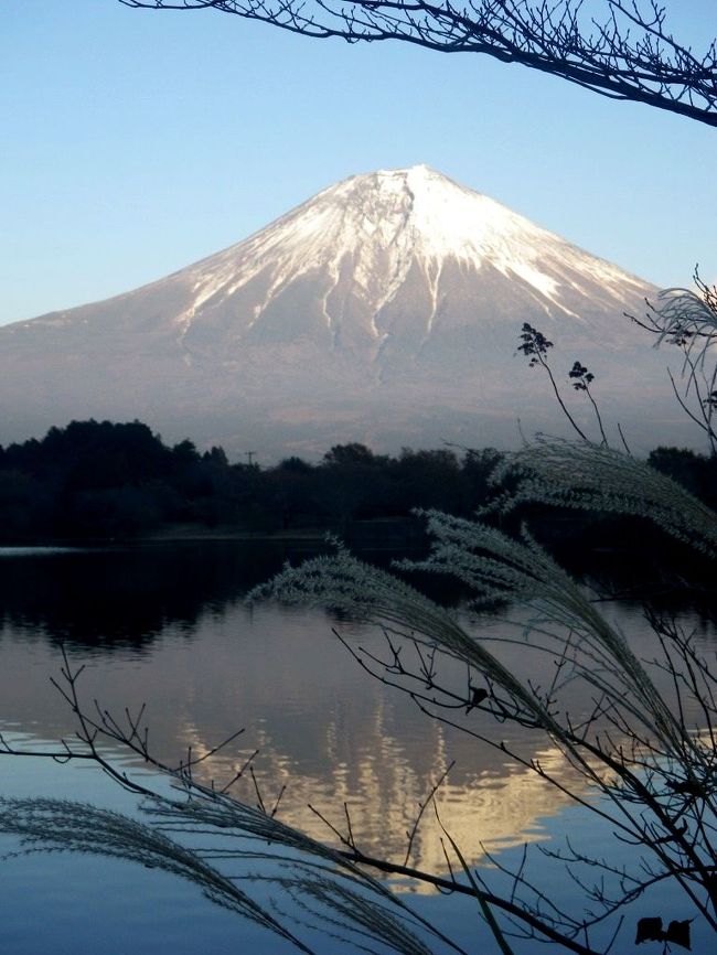 河口湖を訪問した後は紅葉スポットである富士ビューホテル、昇仙峡、そして田貫湖に行きました。<br /><br />とてつもない紅葉と湖面に映る霊峰に魅せられました。