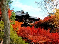 錦秋の京都 （東福寺＆永観堂） ハイライト