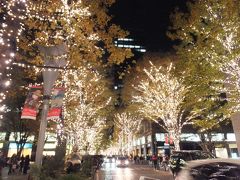 東京駅周辺と汐留イルミネーション2013