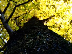 わたらせ渓谷～貴船神社