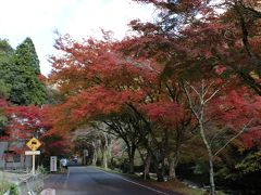 豪渓と宝福寺の紅葉