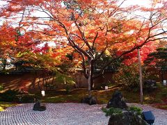 昼間の円通院の庭園紅葉と・・・円通院だけじゃない！松島紅葉ライトアップ２０１３を楽しむ！