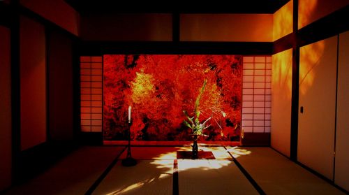 2013年華道家元池坊 「旧七夕会華道展」 伝承文化拝見の旅』二条・烏丸