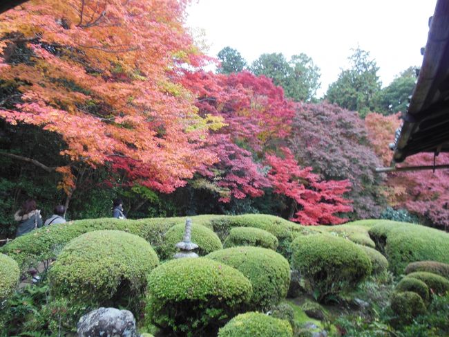 この秋、最も多くの観光客で賑わうと思われる連休の京都。　<br />紅葉を探しに行ってきました。<br /><br />圓光寺　詩仙堂　新島旧邸　しょうざん　北野天満宮<br />清水寺　高台寺　金戒光明寺　