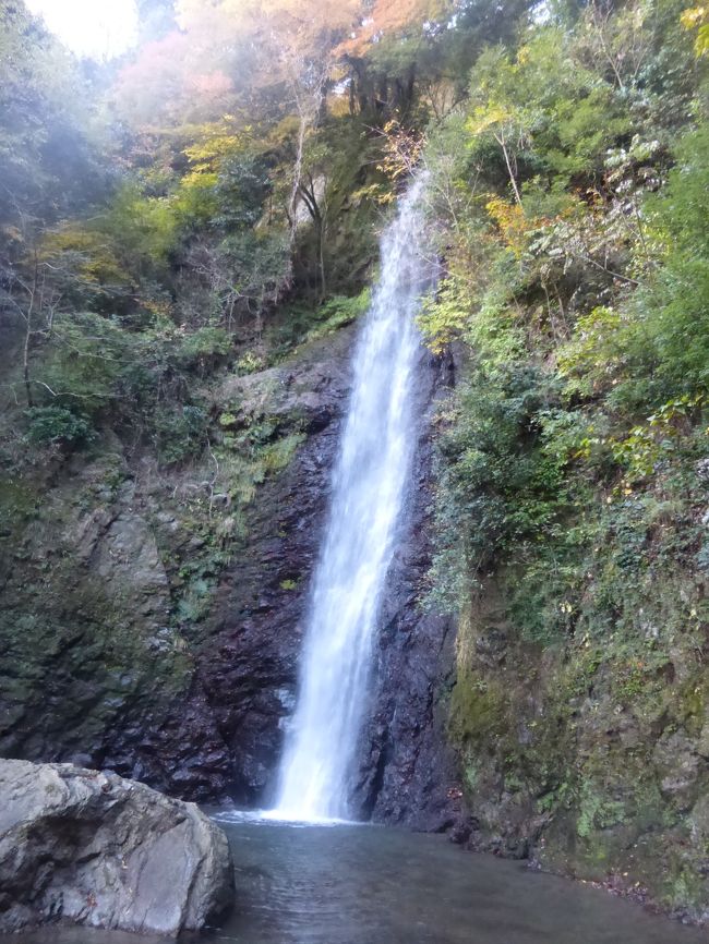 11月の滝めぐり第3弾。<br />岐阜県の養老の滝を見て養老山に登り、鉄道で移動後、横谷峡四つの滝をめぐりました。<br /><br />＜行程＞<br />養老駅7:13→7:40養老の滝→7:58登山口→8:33三方山→8:40笹が原→8:48小倉山8:55→9:09養老山→9:48登山口→10:03養老の滝→10:40養老駅（徒歩）<br />養老10:51→11:14大垣11:26→11:37岐阜11:45→12:19美濃太田12:40→13:29飛騨金山（鉄道）<br />飛騨金山駅13:32→14:00子守金神社→14:44紅葉滝→14:51鶏鳴滝→15:11二見滝→15:16白滝→15:44道の温泉駅→16:12飛騨金山駅（徒歩）