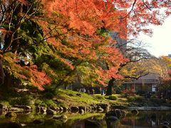 2013年11月24日　小石川後楽園の紅葉 