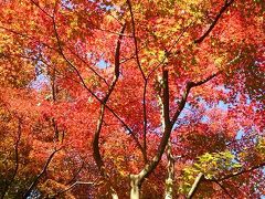 ぷらっと秋の鎌倉散策