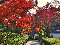 情緒纏綿 晩秋北摂紀行＜前編＞久安寺編